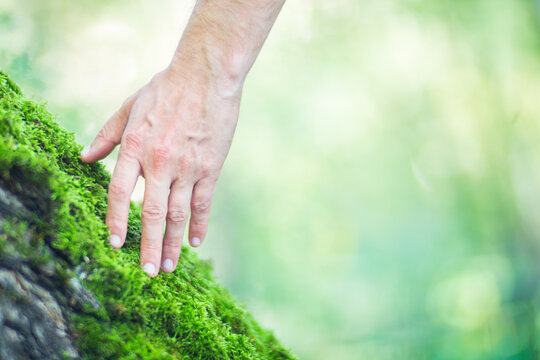 Man gently touching a tree trunk close-up. Bark wood. Connection with nature. Ecology, environmental care, love for the planet