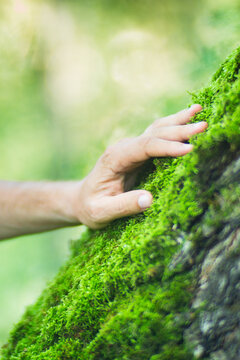 Man gently touching a tree trunk close-up. Bark wood. Connection with nature. Ecology, environmental care, love for the planet