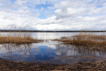 Peaceful Lakeside Scene with Reeds and Reflections Under Cloudy Sky
