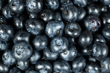 Fresh Blueberries with Water Droplets. Berry Background Close-Up.