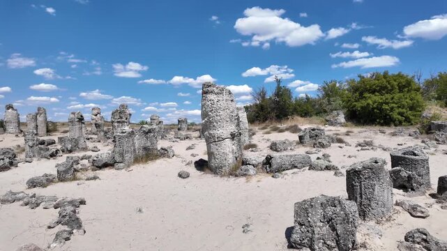 Summer view of rock formation Pobiti Kamani (Upright Stones), Varna region, Bulgaria