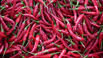 A close-up view of vibrant red chili peppers (facing heaven pepper) on display at a local traditional market in Taipei, Taiwan. Perfect for backgrounds, food blogs, and spicy recipe content.