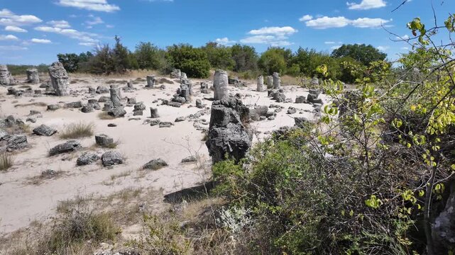 Summer view of rock formation Pobiti Kamani (Upright Stones), Varna region, Bulgaria