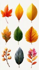 Obraz premium Brightly colored autumn leaves showcasing various shapes and textures in a vibrant arrangement