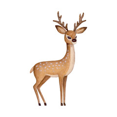 Watercolor deer with antlers isolated on white background