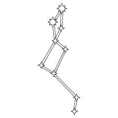 Lacerta constellation illustration hand drawn outline vector