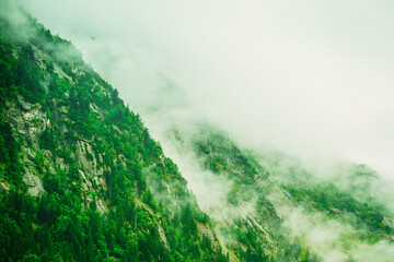 mountain in the fog