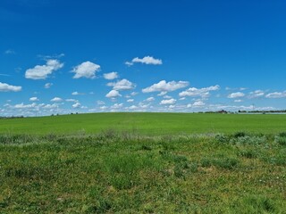 beautiful view of the field in early May