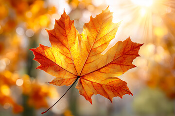 落ち葉の透過光イメージ素材.Generative AI