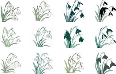 Bundle of 12 Colorful Botanical Flower Illustrations – Vintage Floral Clipart Set for Print, Design, and Digital Art Projects