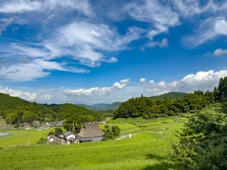 Fotobehang Rijstvelden Terraced Rice Fields in Nose, Osaka, Japan  © yoshihiro