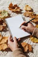 Autumn harvest notebook brown maple leaves decoration frame photos greeting cards mockup photo E-commerce marketing poster Background shooting scene