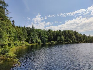 Obraz premium lake and forest