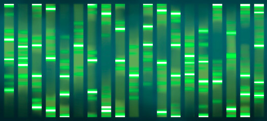 DNA sequencing result, visualisation. Researches in genetics