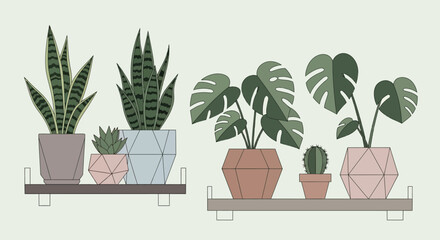 A Stylish Display of Diverse Houseplants on a Wooden Shelf