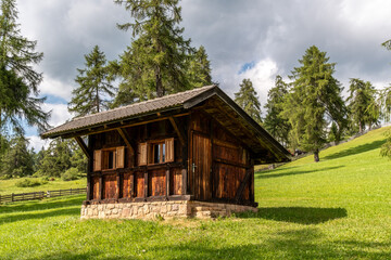 Almhütte aus Holz auf sonniger Wiese im Südtiroler Wald