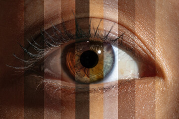 Creative collage of diverse people eyes forming a unified and harmonious visual composition....