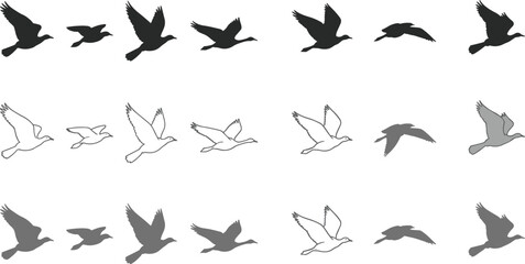 A diverse collection of flying bird silhouettes and line drawings, showcasing various wing positions and artistic styles in monochrome.