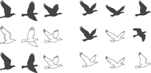 A diverse collection of flying bird silhouettes and line drawings, showcasing various wing positions and artistic styles in monochrome.