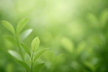 Fototapeta premium Emerging Leaves: A close-up view reveals the delicate details of vibrant green leaves, conveying a sense of renewal, growth, and freshness, with a soft focus backdrop.