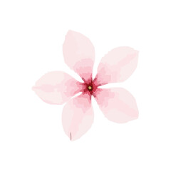 cherry blossom watercolor