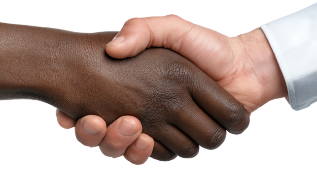 Handshake between diverse partners symbolizing cooperation and agreement.