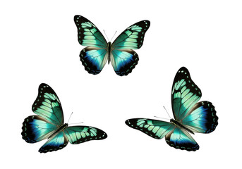 Three vibrant teal butterflies with intricate patterns, iridescent highlights, and delicate veins, dynamically mid-flight on a transparent background with no shadows, ultra-realistic macro