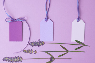 Three blank gift tags or labels with ribbon and dried lavender flowers on violet purple surface.
