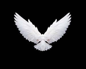 Stunning image of symmetrical, feathery wings spread open against black background, symbolizing purity and freedom. intricate details of feathers evoke sense of elegance and grace
