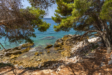 The path to the wild beach of Vela i Mala Draga on the coast of the island of Ciovo
