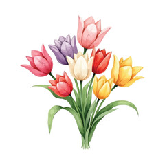 bouquet of tulips watercolor