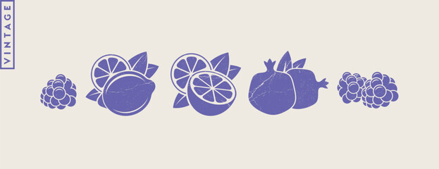 Fruit. Vintage style lemon lime pomegranate raspberry and orange fruit with grunge texture. Vegetarian food vector  