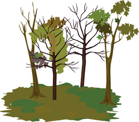 Group of cartoon deciduous trees with fallen leaves due to drought isolated on white background	