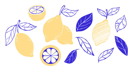 lemon with blue leaves set. la dolce vita. Mediterranean Vintage aesthetics. Summer isolated minimal Citrus tropical whimsical fruits Hand sketch drawing on white. Vector illustration. Not AI