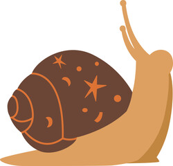 snail on a white background