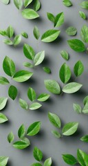 Fresh green leaves scattered on a gray surface
