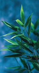 Close-up of vibrant green bamboo leaves against a deep blue blurred background