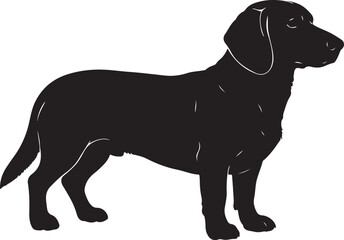 Alpine dachsbracke dog silhouette hunting breed illustration