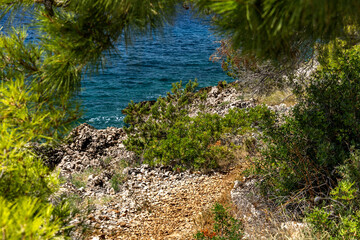 The path to the wild beach of Vela i Mala Draga on the coast of the island of Ciovo