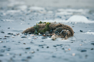 Borkumer Strandleben