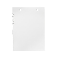 transparent letter-size paper with a feathery torn edge and two punched holes, blank and smooth, isolated centrally on a seamless transparent background with expansive copy space from a top-down,