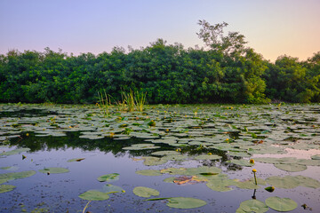 view on beautiful landscape with water