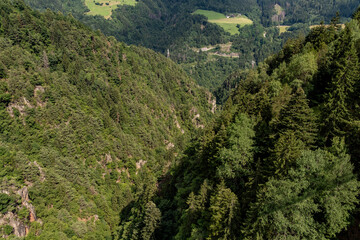 Dichter Nadelwald in steiler Schlucht aus der Vogelperspektive