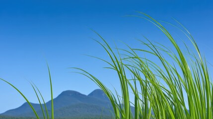 Fototapeta premium Lush Green Grass with Scenic Mountain Background Under Clear Sky