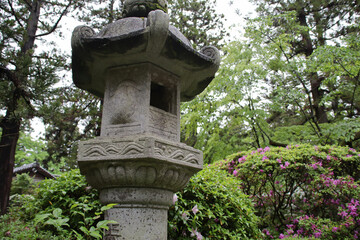 japanese garden at the nezu museum in tokyo in japan 