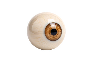 Human eyeball with golden-brown iris viewed from side angle showing anatomical eye structure, isolated on a transparent background
