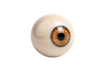Human eyeball with golden-brown iris viewed from side angle showing anatomical eye structure, isolated on a transparent background