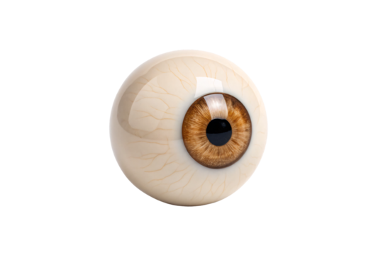 Human eyeball with golden-brown iris viewed from side angle showing anatomical eye structure, isolated on a transparent background