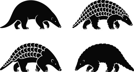 angolin species illustration, wildlife conservation vector, unique scales design, endangered animal artwork, nature education graphic, biodiversity silhouette, educational content asset