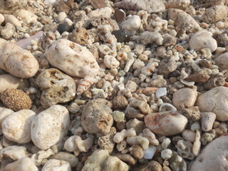 pebbles on the beach top view images